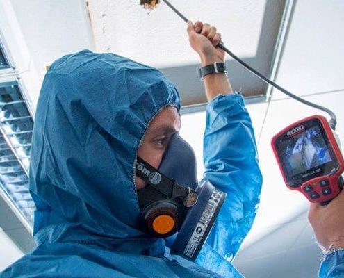 Bristol Asbestos Surveys